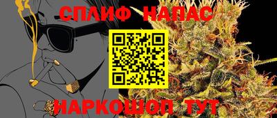 гашик Малоярославец