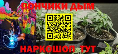 индика Мариинск