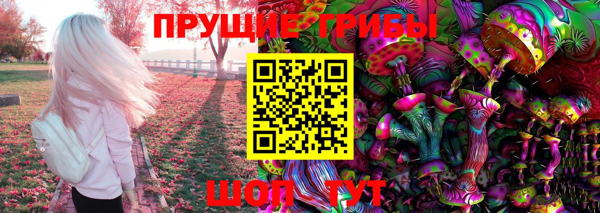 Гурьевск  Псилоцибиновые грибы ЛСД  закладка  Вход с VPN 